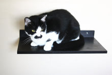 JTWoodworks cat shelf, pet furniture, cat perch, cat toys, many colors available.  Cat perch made of solid wood.