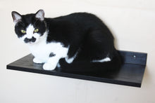 JTWoodworks cat shelf, pet furniture, cat perch, cat toys, many colors available.  Cat perch made of solid wood.
