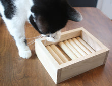 Cat Treat Puzzle Toy & Brain Stimulation