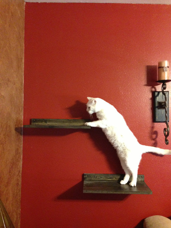 JTWoodworks cat shef, pet furniture, many colors available.  Cat perch made of solid wood